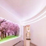 Arquitetura Clínica União da Vitória Paraná