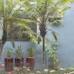 Arquiteta consultório infantil